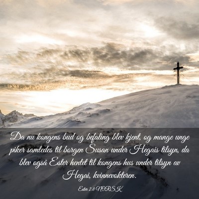 Picture 03 - Ester 2:8 NORSK - Da nu kongens bud og befaling blev kjent, og - Bible Verse Picture