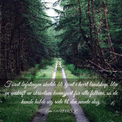 Picture 03 - Ester 3:14 NORSK - Forat befalingen skulde bli kjent i hvert - Bible Verse Picture