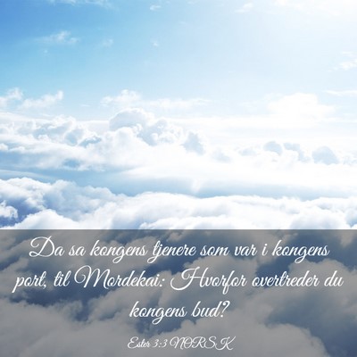 Picture 03 - Ester 3:3 NORSK - Da sa kongens tjenere som var i kongens port, til - Bible Verse Picture