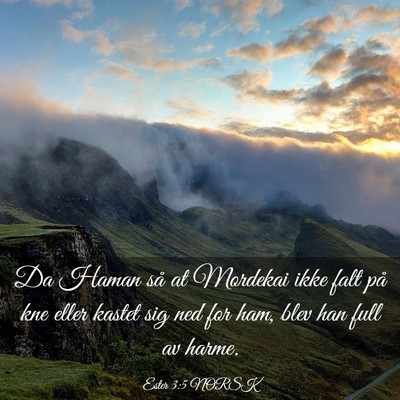 Picture 03 - Ester 3:5 NORSK - Da Haman så at Mordekai ikke falt på kne eller - Bible Verse Picture
