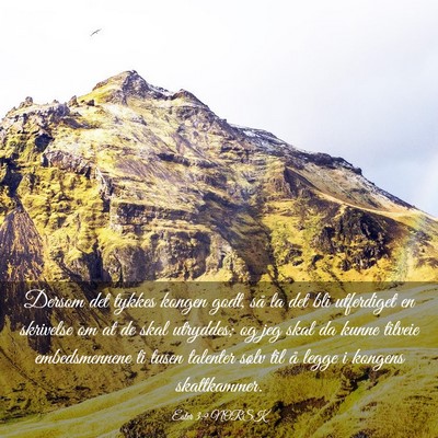 Picture 03 - Ester 3:9 NORSK - Dersom det tykkes kongen godt, så la det bli - Bible Verse Picture