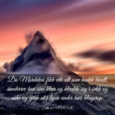 Picture 03 - Ester 4:1 NORSK - Da Mordekai fikk vite alt som hadde hendt, - Bible Verse Picture