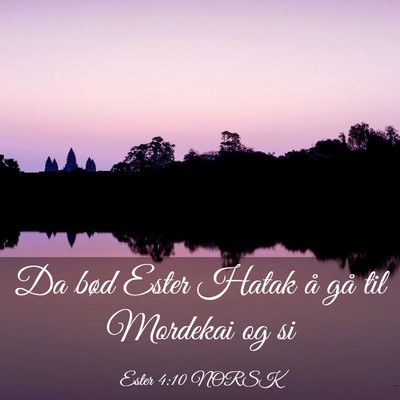 Picture 03 - Ester 4:10 NORSK - Da bød Ester Hatak å gå til Mordekai og - Bible Verse Picture