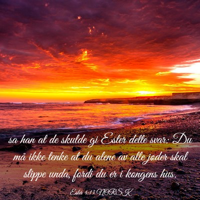 Picture 03 - Ester 4:13 NORSK - sa han at de skulde gi Ester dette svar: Du må - Bible Verse Picture