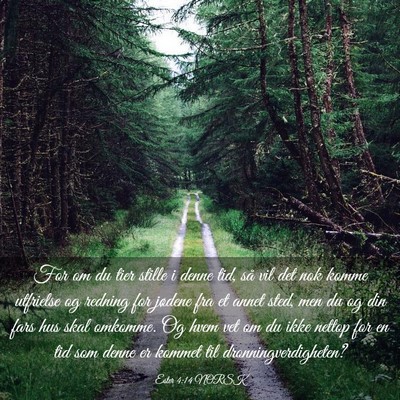 Picture 03 - Ester 4:14 NORSK - For om du tier stille i denne tid, så vil det - Bible Verse Picture