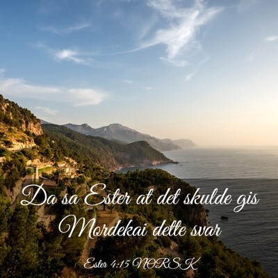 Picture 03 - Ester 4:15 NORSK - Da sa Ester at det skulde gis Mordekai dette - Bible Verse Picture