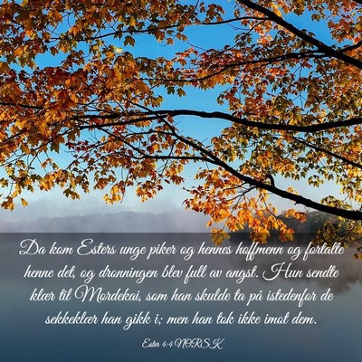 Picture 03 - Ester 4:4 NORSK - Da kom Esters unge piker og hennes hoffmenn og - Bible Verse Picture