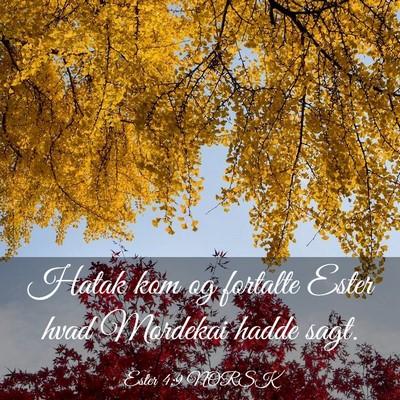 Picture 03 - Ester 4:9 NORSK - Hatak kom og fortalte Ester hvad Mordekai hadde - Bible Verse Picture
