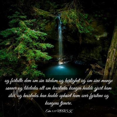 Picture 03 - Ester 5:11 NORSK - og fortalte dem om sin rikdom og herlighet og om - Bible Verse Picture