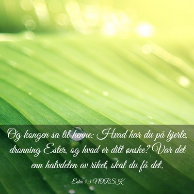 Picture 03 - Ester 5:3 NORSK - Og kongen sa til henne: Hvad har du på hjerte, - Bible Verse Picture