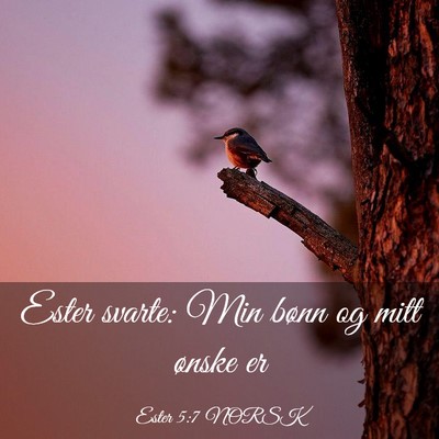 Picture 03 - Ester 5:7 NORSK - Ester svarte: Min bønn og mitt ønske - Bible Verse Picture