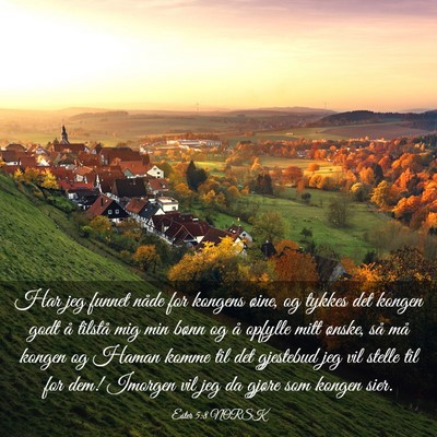 Picture 03 - Ester 5:8 NORSK - Har jeg funnet nåde for kongens øine, og tykkes - Bible Verse Picture