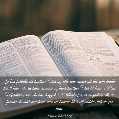 Picture 03 - Ester 6:13 NORSK - Han fortalte sin hustru Seres og alle sine venner - Bible Verse Picture