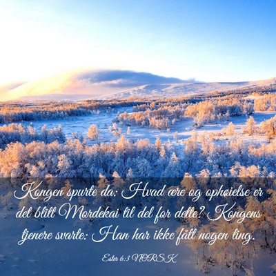 Picture 03 - Ester 6:3 NORSK - Kongen spurte da: Hvad ære og ophøielse er det - Bible Verse Picture