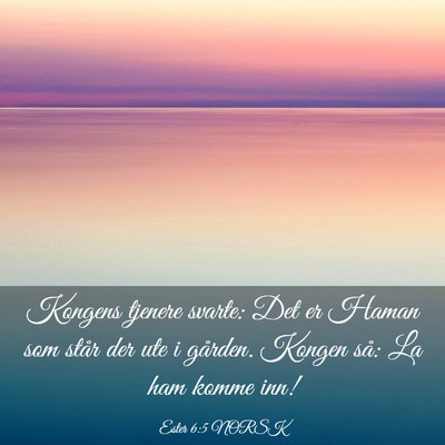 Picture 03 - Ester 6:5 NORSK - Kongens tjenere svarte: Det er Haman som står - Bible Verse Picture