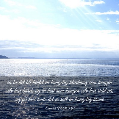 Picture 03 - Ester 6:8 NORSK - så la det bli hentet en kongelig klædning som - Bible Verse Picture