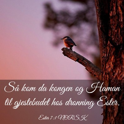 Picture 03 - Ester 7:1 NORSK - Så kom da kongen og Haman til gjestebudet hos - Bible Verse Picture