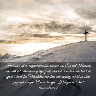 Picture 03 - Ester 7:9 NORSK - Harbona, en av hoffmennene hos kongen, sa: Se, - Bible Verse Picture