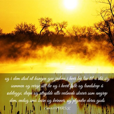 Picture 03 - Ester 8:11 NORSK - og i dem stod at kongen gav jødene i hver by lov - Bible Verse Picture