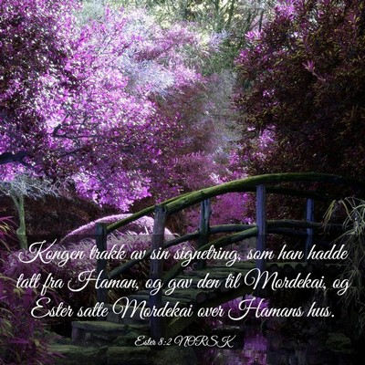 Picture 03 - Ester 8:2 NORSK - Kongen trakk av sin signetring, som han hadde - Bible Verse Picture