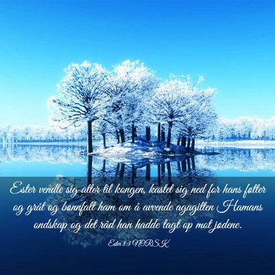 Picture 03 - Ester 8:3 NORSK - Ester vendte sig atter til kongen, kastet sig ned - Bible Verse Picture