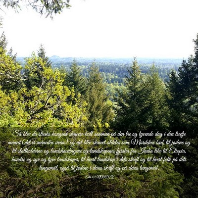 Picture 03 - Ester 8:9 NORSK - Så blev da straks kongens skrivere kalt sammen - Bible Verse Picture