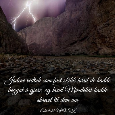 Picture 03 - Ester 9:23 NORSK - Jødene vedtok som fast skikk hvad de hadde - Bible Verse Picture