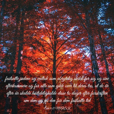 Picture 03 - Ester 9:27 NORSK - fastsatte jødene og vedtok som ubrytelig skikk - Bible Verse Picture