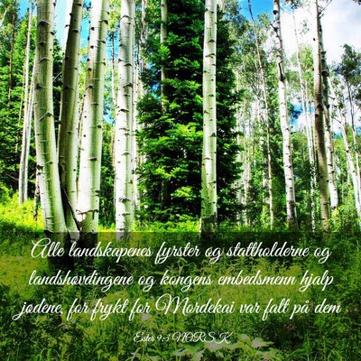 Picture 03 - Ester 9:3 NORSK - Alle landskapenes fyrster og stattholderne og - Bible Verse Picture