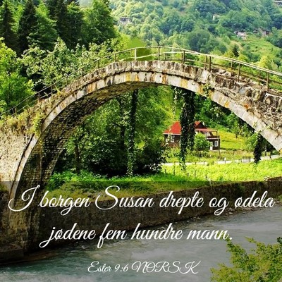 Picture 03 - Ester 9:6 NORSK - I borgen Susan drepte og ødela jødene fem - Bible Verse Picture