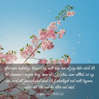 Picture 03 - Filipperne 1:20 NORSK - efter min inderlige lengsel og mitt håp om at - Bible Verse Picture