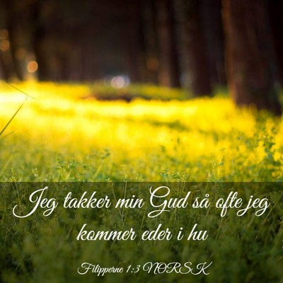 Picture 03 - Filipperne 1:3 NORSK - Jeg takker min Gud så ofte jeg kommer eder i - Bible Verse Picture