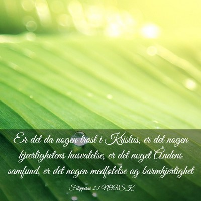 Picture 03 - Filipperne 2:1 NORSK - Er det da nogen trøst i Kristus, er det nogen - Bible Verse Picture
