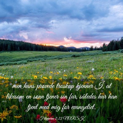 Picture 03 - Filipperne 2:22 NORSK - men hans prøvede troskap kjenner I, at likesom - Bible Verse Picture