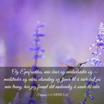 Picture 03 - Filipperne 2:25 NORSK - Og Epafroditus, min bror og medarbeider og - Bible Verse Picture
