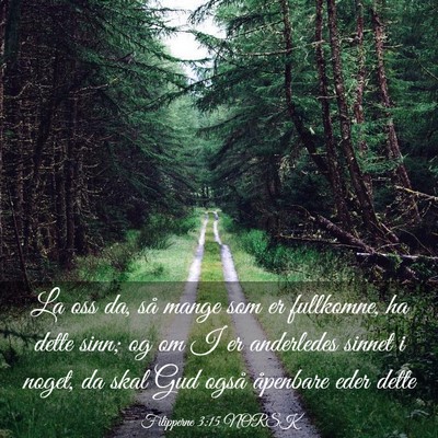 Picture 03 - Filipperne 3:15 NORSK - La oss da, så mange som er fullkomne, ha dette - Bible Verse Picture