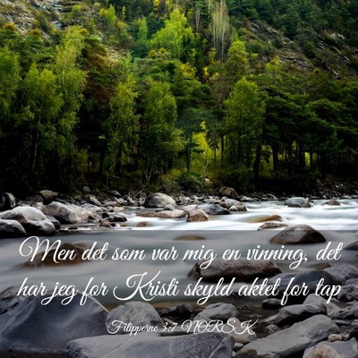 Picture 03 - Filipperne 3:7 NORSK - Men det som var mig en vinning, det har jeg for - Bible Verse Picture