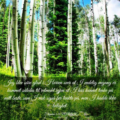 Picture 03 - Filipperne 4:10 NORSK - Jeg blev såre glad i Herren over at I endelig - Bible Verse Picture