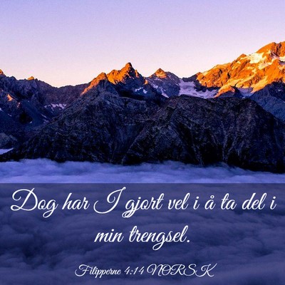 Picture 03 - Filipperne 4:14 NORSK - Dog har I gjort vel i å ta del i min - Bible Verse Picture
