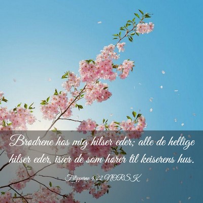 Picture 03 - Filipperne 4:22 NORSK - Brødrene hos mig hilser eder; alle de hellige - Bible Verse Picture