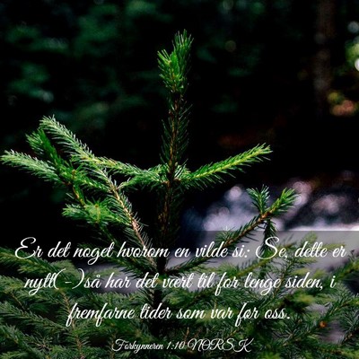 Picture 03 - Forkynneren 1:10 NORSK - Er det noget hvorom en vilde si: Se, dette er - Bible Verse Picture