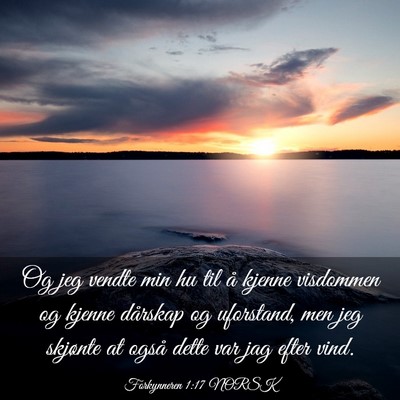 Picture 03 - Forkynneren 1:17 NORSK - Og jeg vendte min hu til å kjenne visdommen og - Bible Verse Picture
