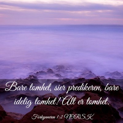 Picture 03 - Forkynneren 1:2 NORSK - Bare tomhet, sier predikeren, bare idelig tomhet! - Bible Verse Picture