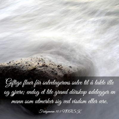 Picture 03 - Forkynneren 10:1 NORSK - Giftige fluer får salvelagerens salve til å - Bible Verse Picture