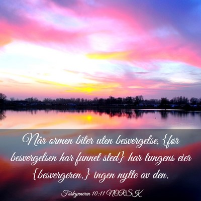 Picture 03 - Forkynneren 10:11 NORSK - Når ormen biter uten besvergelse, {før - Bible Verse Picture
