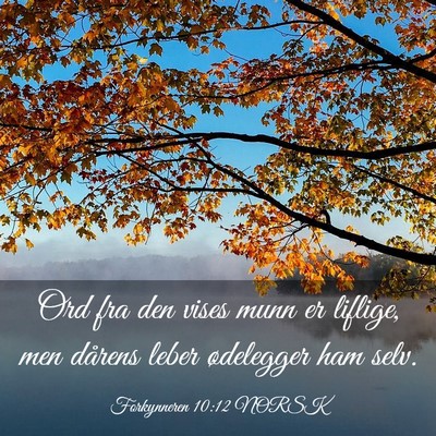 Picture 03 - Forkynneren 10:12 NORSK - Ord fra den vises munn er liflige, men dårens - Bible Verse Picture