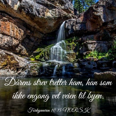 Picture 03 - Forkynneren 10:15 NORSK - Dårens strev tretter ham, han som ikke engang - Bible Verse Picture