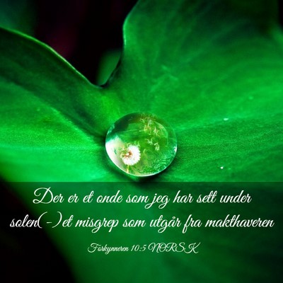 Picture 03 - Forkynneren 10:5 NORSK - Der er et onde som jeg har sett under solen(-)et - Bible Verse Picture