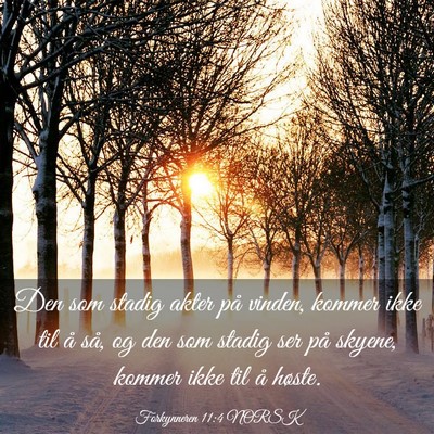 Picture 03 - Forkynneren 11:4 NORSK - Den som stadig akter på vinden, kommer ikke til - Bible Verse Picture