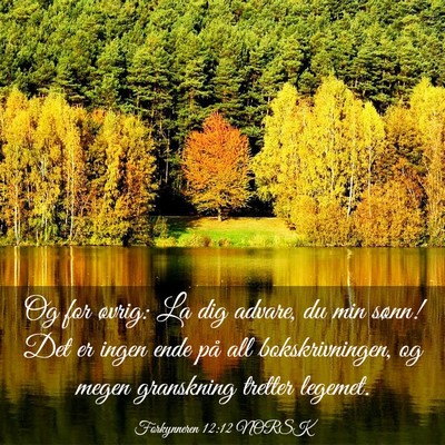 Picture 03 - Forkynneren 12:12 NORSK - Og for øvrig: La dig advare, du min sønn! Det - Bible Verse Picture